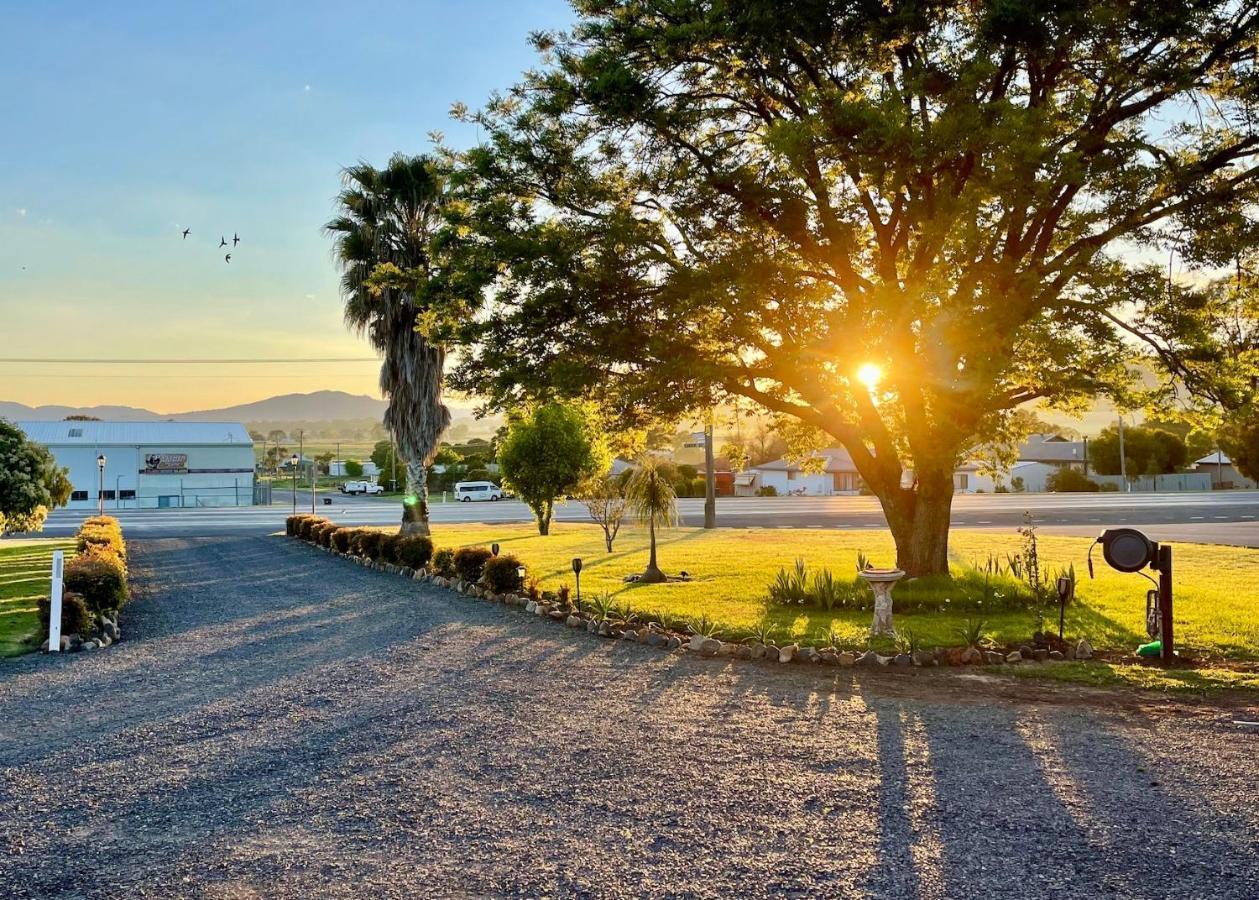 Quirindi Sunflower Motor Inn Zewnętrze zdjęcie