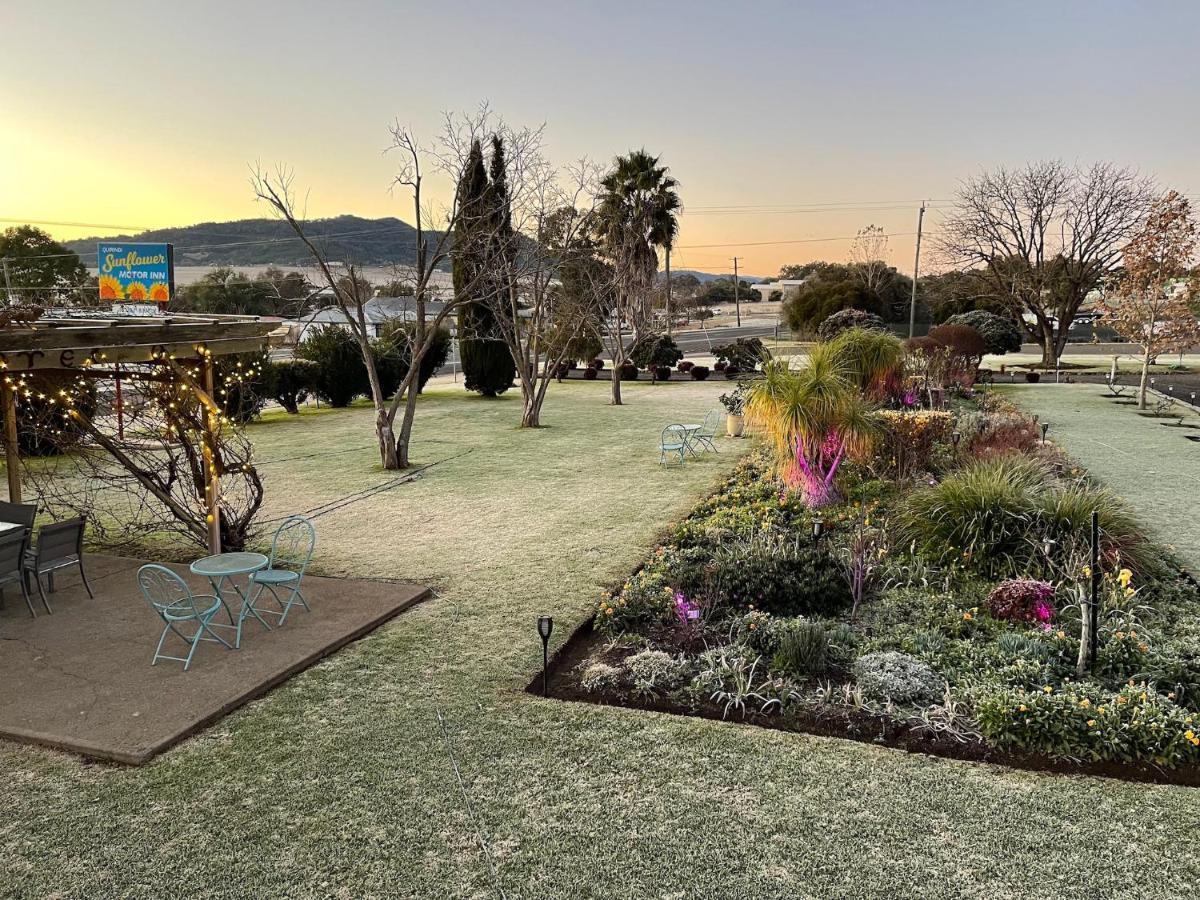 Quirindi Sunflower Motor Inn Zewnętrze zdjęcie